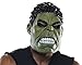 Marvel Rubie's Costume CO Men's Avengers 2 Age Of Ultron Hulk Adult 3/4 Mask, Green, One Size