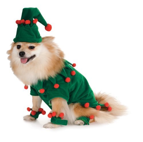 Elf Pet Costume, X-Large
