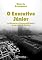 Livro O Executivo Júnior: os Dilemas e as Responsabilidades de um Cargo de Decisão