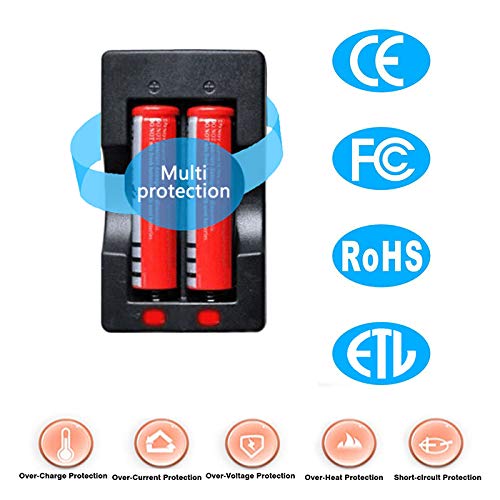 LYILIN Fast Smart 18650 Battery Charger,18650 Battery Dedicated Charger (Battery Not Included).