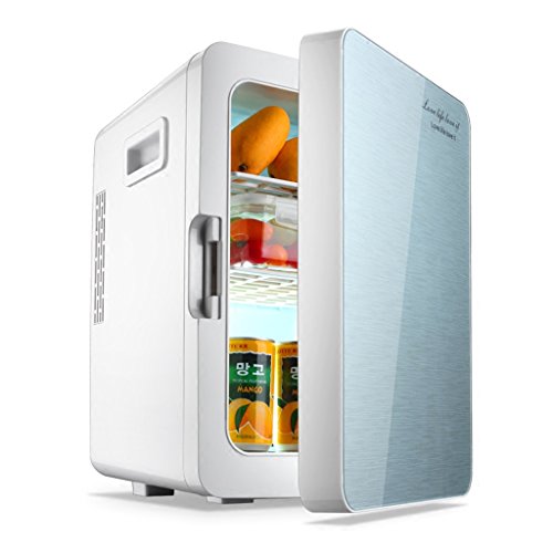 Car Refrigerator Jadeking@ 20L Pink, Mini Fridge Car Dual-use Hot And Cold Dual Use Cabinet Type 220V AC / 12V DC (Color : Silver)