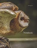 Notebook: Barn Owl by Wild Pages Press