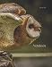 Notebook: Barn Owl by Wild Pages Press