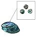 3 Pcs Trumpet Buttons Finger Key Valve Cap Screw Repairing Parts for Trumpet Lovers with Abalone Shellthumb 3