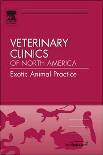 exotic vet clinic