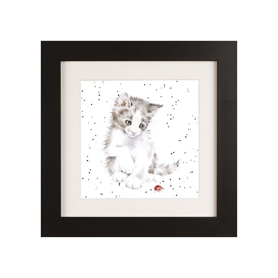 Wrendale Designs Framed Greeting Card Ladybird Kitten and Ladybird Picture (Black)