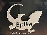 Bearded Dragon Personalized Vinyl Decal Car Window Decal Laptop Sticker, Aquarium White 3