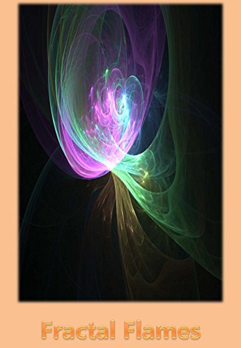 Fractal Flames Bursts of Joy