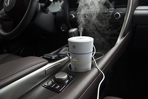 Free and Healthy Life Mini humidifier Travel Portable Car Small Cool Mist Office Nightstand LED Light Ultrasonic Capacity 300ml - Green Accent