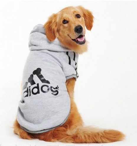amazon dog sweatshirt
