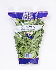 Natures Reward Cilantro, 1 EA