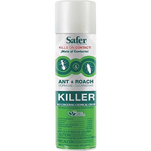 Safer Brand 14-Ounce Aerosol Ant and Roach Killer 5720 Safer Brand 14-Ounce Aerosol Ant and Roach Killer 5720