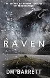 Raven by D.M. Barrett