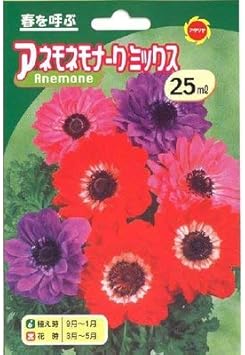 Amazon Co Jp 秋植え球根 アネモネモナーク モナークミックス菊咲き ホーム キッチン