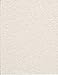 8.5x11 Pastel Parchment Paper Pack 20 Sheets Cardstock Rubber Stampin 65# lb.