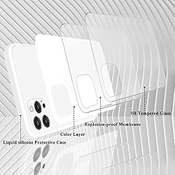 SmoBea Compatible for iPhone 12 Pro Max