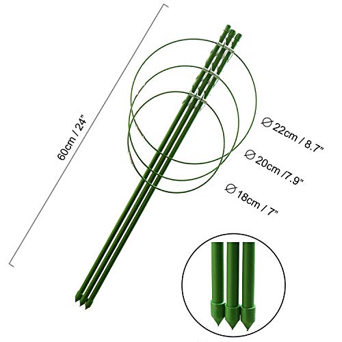 Anzmtosn Large Size 24INCH Garden Plant Support Ring Large Size Garden Trellis Flower Stainless Steel Support Climbing Vegtables&Flowers&Fruit Grow Cage with 3 Adjustable Rings 60CM (2PCS)