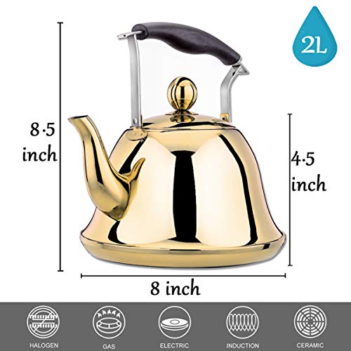 Gold Whistling Tea Kettle Stainless Steel Stovetop Teakettle Sturdy Teapot for Tea Coffee Fast Boiling with Infuser Color Gold Mirror Finish 2 Liter / 2.1 Quart (Gold)