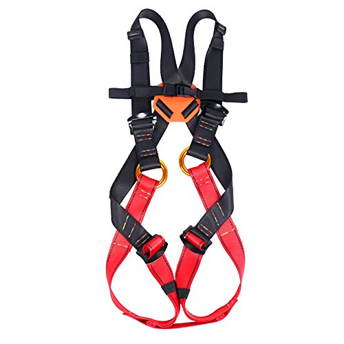 Flowersea Full Body Climbing Harness Kids,Flower Sea9 Climbing Harness Safe Belts Guide Harness Mountaineering Outward Band Expanding Training Caving Rock Climbing Rappelling Equip (S(4-10years))
