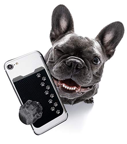 1 Dog+Paws+Phone+Case+Gecko