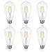 Antique LED Bulb, SHINE HAI 4W (40W Equivalent) ST64 Vintage Edison Light Bulb LED Lighting, 470 Lumen Warm White 2700K E26 Base, Pack of 6