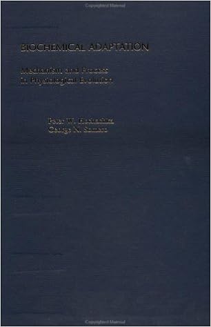 Biochemical Adaptation Mechanism And Process In Physiological Evolution Amazon De Hochachka Peter W Somero George N Fremdsprachige Bucher