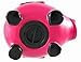 Pink Pirate Pig Black Skull & Crossbones Piggy Bank