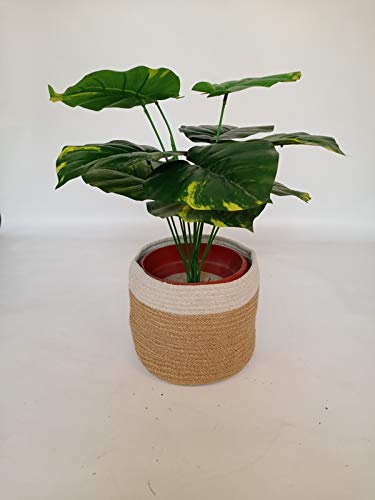 Wonderland Jute Bag Planter