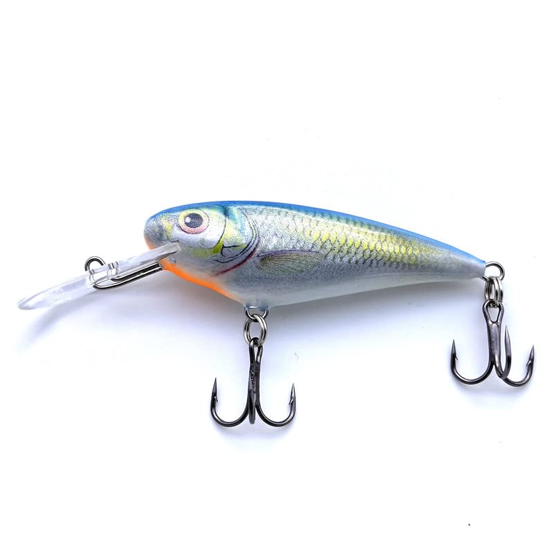 EVERBAY DORADO Wobbler Fishing Lure-Hard Crankbait-Fishing Tackle, Topwater Life-Like Swimbait for Perch Pike Zander Trout Salmon Catfish Chub Barbel Trolling in Freshwater, Floating - INVADER 7cm B