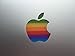 eppo brand RR-12-6-11 Design Art Apple Old Retro Rainbow Multicolour Logo Sticker Decal for 11