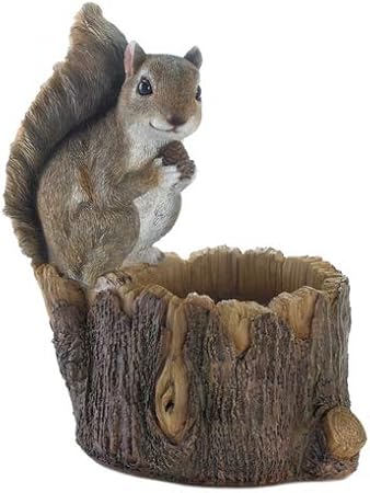 Amazon Com Polynesian Perched Squirrel Bird Feeder Wedding Event
