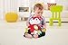 Fisher-Price Activity Fox