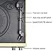 HOFEINZ Vintage Wireless Bluetooth Out Wooden Belt Driven 3 Speed Turntable with Built in Stereo Speakers AM/FM Radiothumb 2