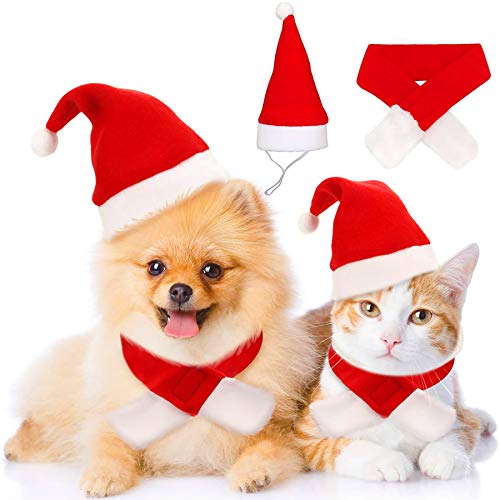 Christmas Pet Costume Set: Santa Hat and Scarf Italy Ubuy
