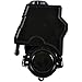ACDelco 36P1568 Professional Power Steering Pump, Remanufactured (Renewed)