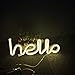 LED Hello Shape Neon Word Sign Neon Letters Light Art Decorative Lights Wall Decor for Baby Room Christmas Wedding Party Supplies (Warm White Hello)
