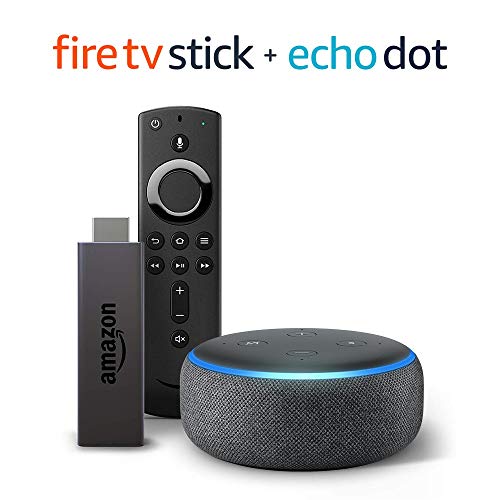 echo dot fire stick tv