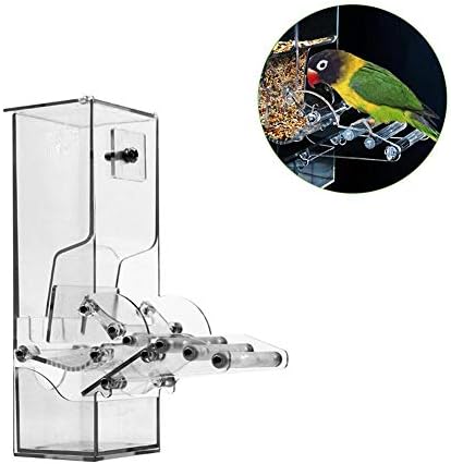 Transparent Bird Feeder Home Birds Automatic Foraging Systems Food Feeding Station For Parrots Automatic Bird Feeder Kit