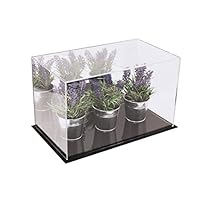 Better Display Cases Acrylic Deluxe Display Case with Mirror - Medium Rectangle Box 14" x 8" x 8.5" (A011-DS)