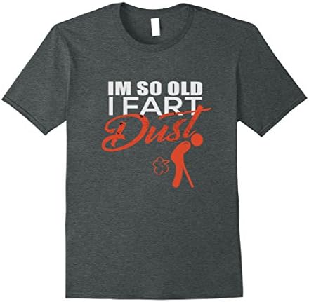 Mens I'm So Old I Fart Dust Funny Grandpa T-Shirt 3XL Dark Heather