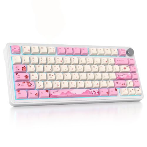 Surmen Wireless Mechanical Keyboard
