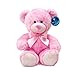 WILDREAM PinkTeddy Bear Stuffed Animal Plush with Ribbon Cravat, Shaggy Plush Stuffed Teddy Bear for Baby Kids Boys Girls, Soft First Teddy Bear Cute in Sitting Position 9.8 Inches(Dreamy Pink)