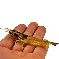 KENGEL 10PCS Shrimp Worm Bait Soft Lure 3.55IN 6G Ultra Realistic Soft Soft Bait Shrimp