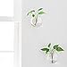 Mkono 6 Pack Glass Wall Hanging Planter Globe Air Plants Terrariums Wall Mounted Plant Vase Indoor for Home Office Living Room Decor, 4.72