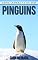 Livro Pinguins: Fotos Incríveis e Factos Divertidos sobre Pinguins, para Crianças (Série Lembra-te de Mim)