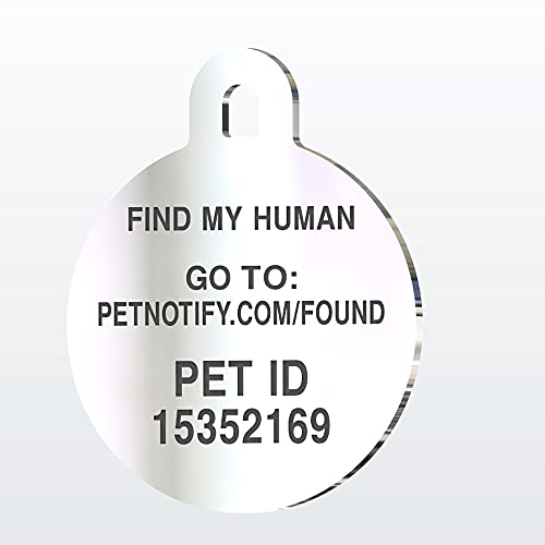 Pet Notify Intellitag Smart Pet ID Tag Animal Recovery System for