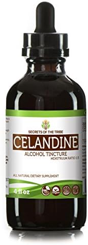 Secrets of the Tribe Greater Celandine Alcohol Liquid Extract, Greater Celandine (Chelidonium Majus) Dried Plant Tincture Supplement (4 FL OZ)