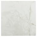 Achim Home Furnishings FTVMA40220 Nexus 12-Inch Vinyl Tile, Marble Classic White with Grey Veins, 20-Pack