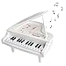 Toy Piano Electronic Piano Keyboard, Fajiabao 14 Keys Music Toy Keyboard Toy Set with Beautiful Light Gift for Children Kids Girls Boys Early Learning