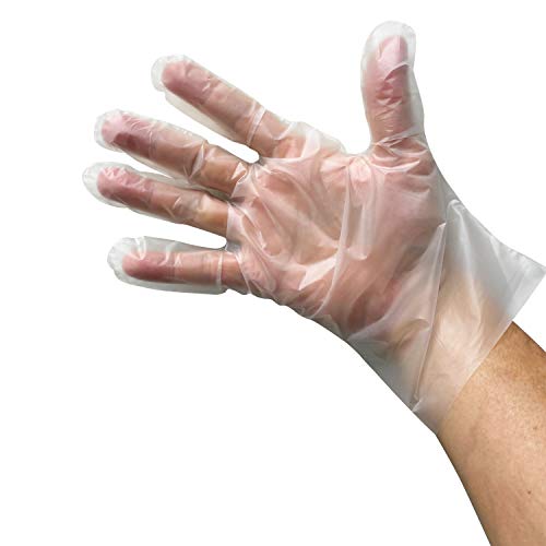 Nitrile Gloves THE SAFETY ZONE X-Large Clear Disposable Vinyl Exam